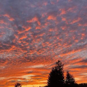 $150 Integration Payment