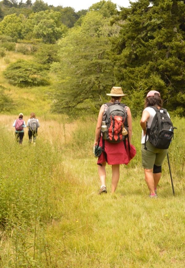 Young men hiking