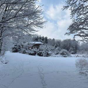 $600 Soul Tavern Payment