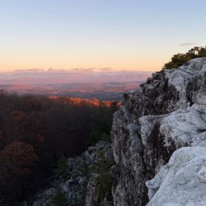 $200 Vitalization - Meals Contribution