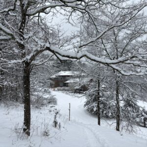 Winter Journey - Fee Assisted Payment